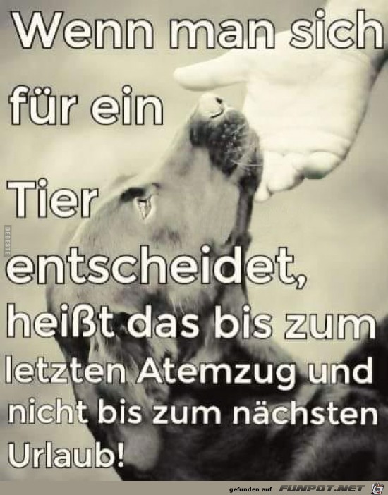 so ist es