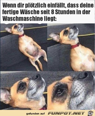 Zu faul Zu faul