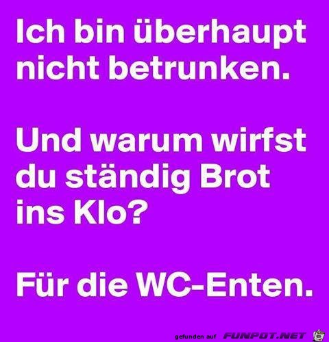 Bin nicht betrunken Bin nicht betrunken