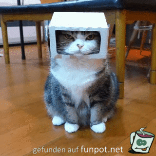 Schick Schick