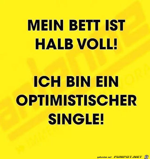 Halb voll Halb voll