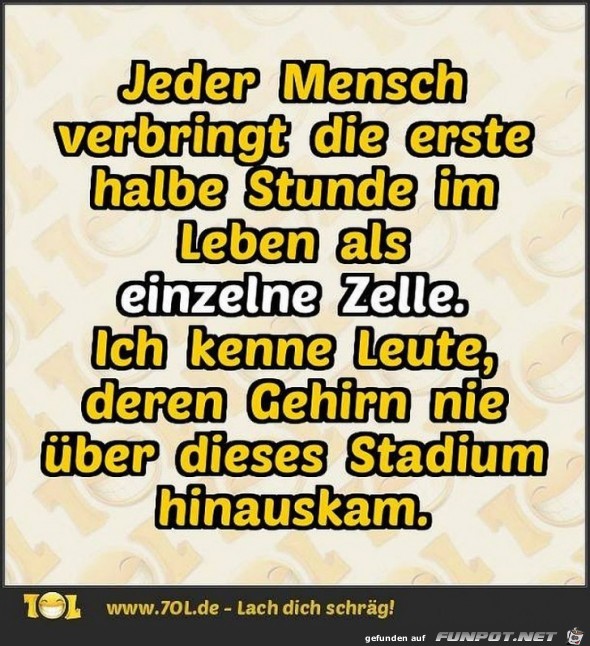 Jeder Mensch