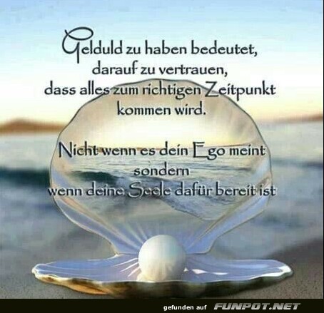 10 sch�ne Spr�che und Lebensweisheiten aus...
