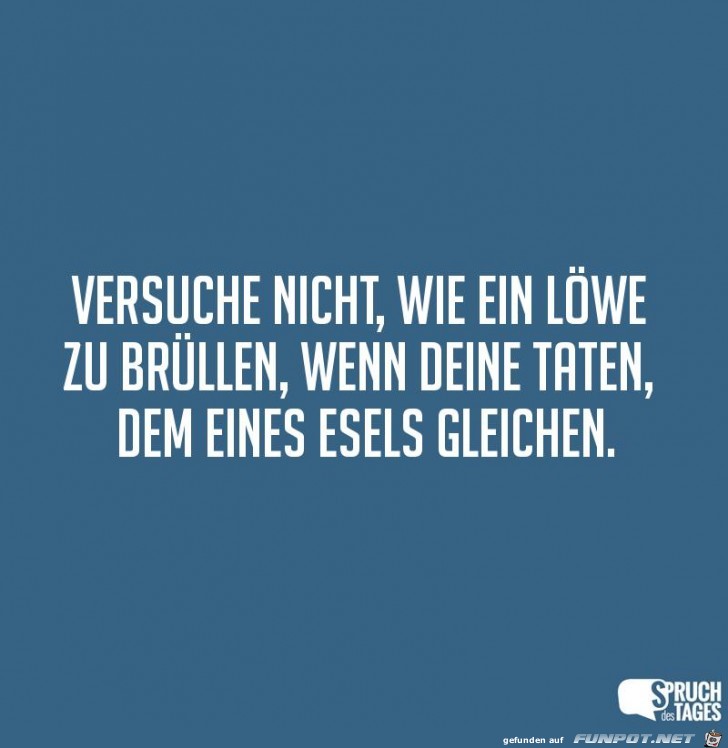 versuche nicht versuche nicht
