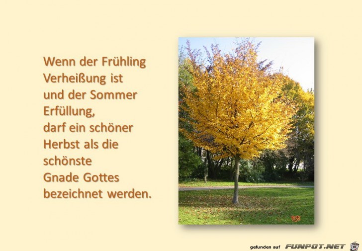 wenn der fruehling verhei ssung ist wenn der fruehling verhei ssung ist