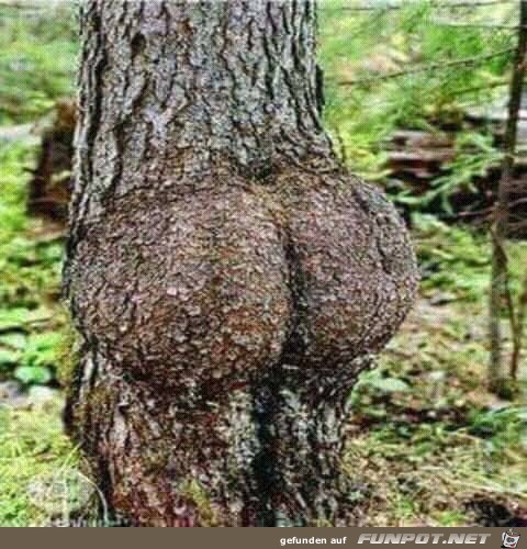 Verrückte Natur Verrückte Natur