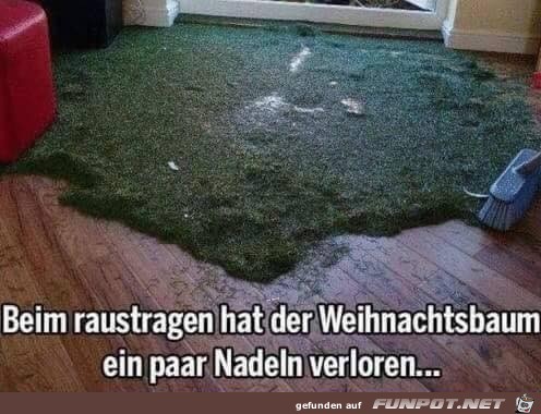 Ein paar Nadeln sind abgefallen Ein paar Nadeln sind abgefallen