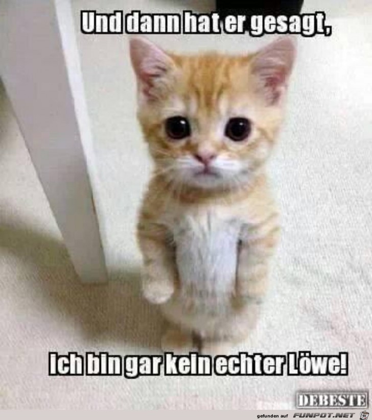 Loewe Loewe