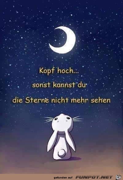 kopf hoch kopf hoch