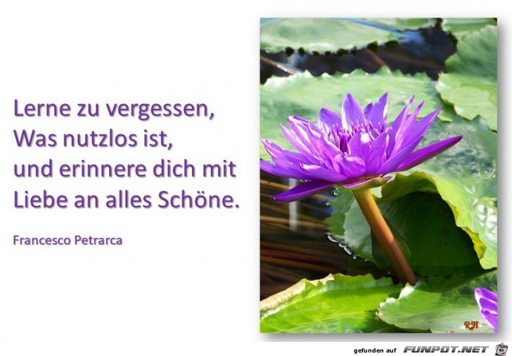 lerne zu vergessen lerne zu vergessen