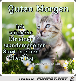 Guten Morgen