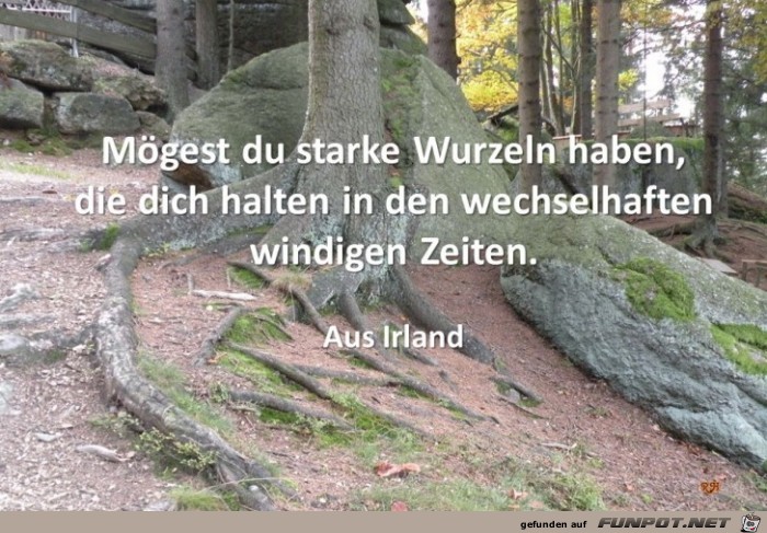 moegest du starke wurzeln haben moegest du starke wurzeln haben