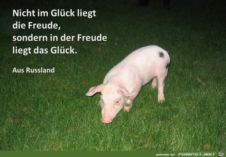nicht im Glueck liegt die Freude nicht im Glueck liegt die Freude