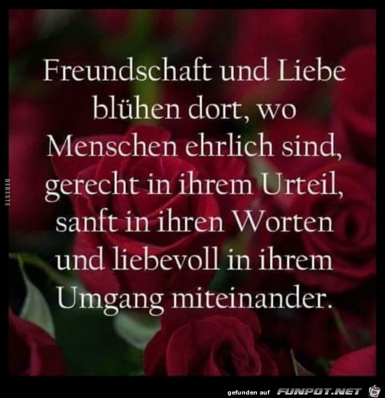 Freundschat und Liebe blühen dort, wo Menschen ehrlich sind, Freundschat und Liebe blühen dort, wo Menschen ehrlich sind,