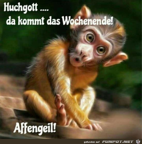 Hachgott-- da kommt das Wochenende.......