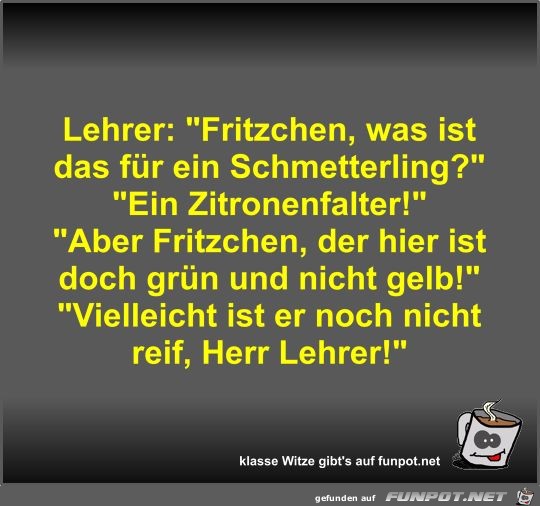 Lehrer: Fritzchen, was ist das für ein Schmetterling? Lehrer: Fritzchen, was ist das für ein Schmetterling?
