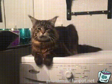 Warum vibriert das so Warum vibriert das so