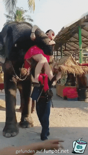 Frecher Elefant Frecher Elefant