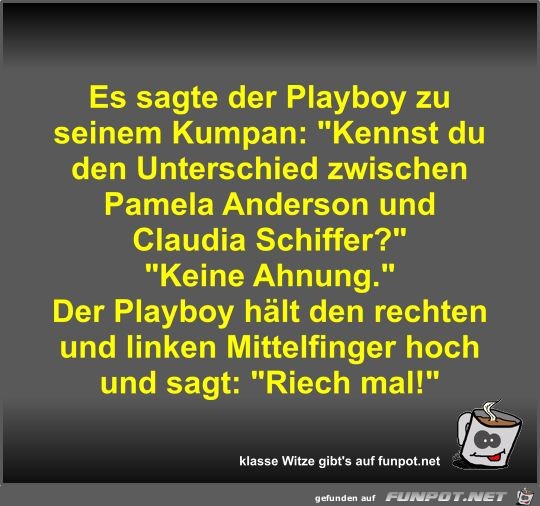 Es sagte der Playboy zu seinem Kumpan