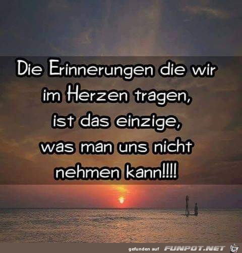 die Erinnerungen