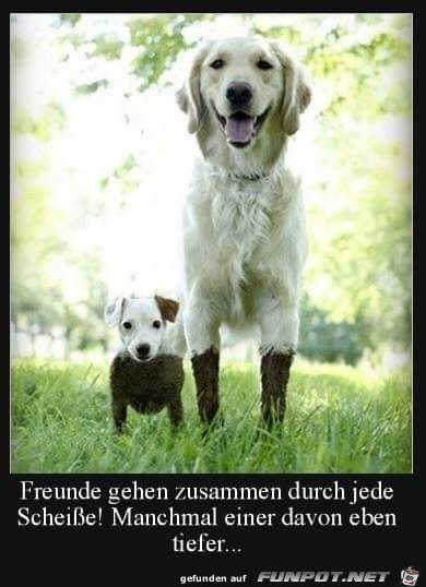 Richtig Richtig