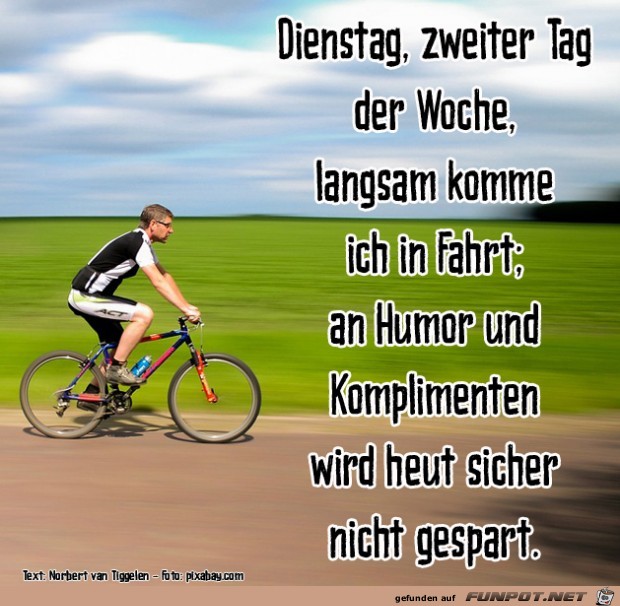 Dienstag 2019 Dienstag 2019