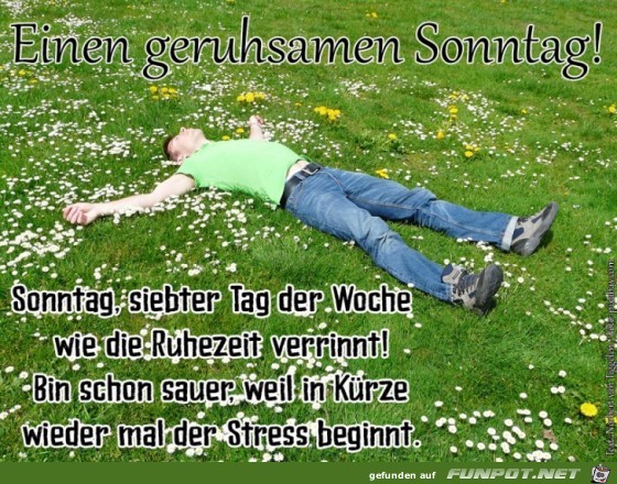 Sonntag 2019 Sonntag 2019
