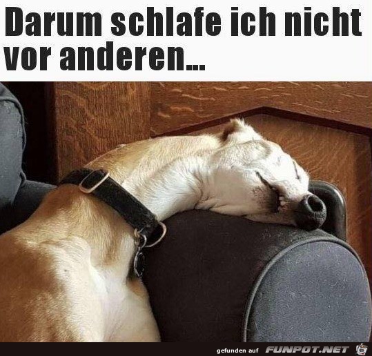 Besser so Besser so