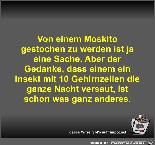 Von einem Moskito gestochen zu werden ist ja eine Sache Von einem Moskito gestochen zu werden ist ja eine Sache
