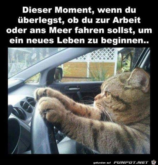 Dieser Moment