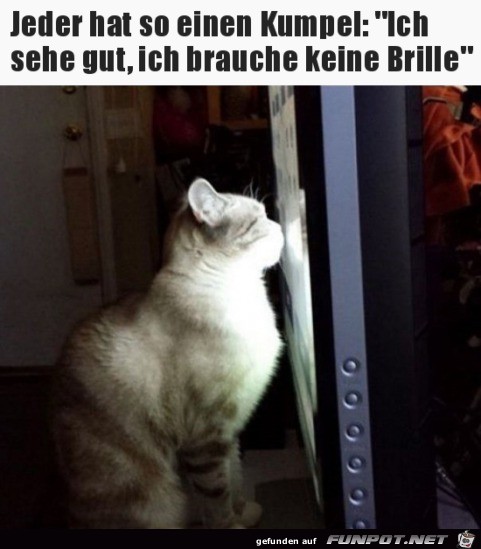 Dieser eine Kumpel Dieser eine Kumpel