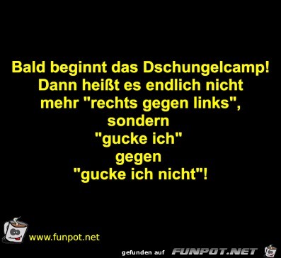 Gucke ich nicht Gucke ich nicht