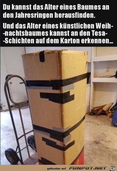 Kommt hin