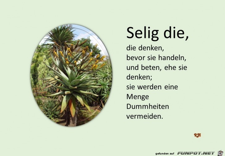 selig die die denken selig die die denken