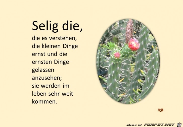 selig die die es verstehen