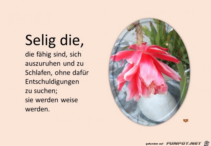 selig die die faehig sind