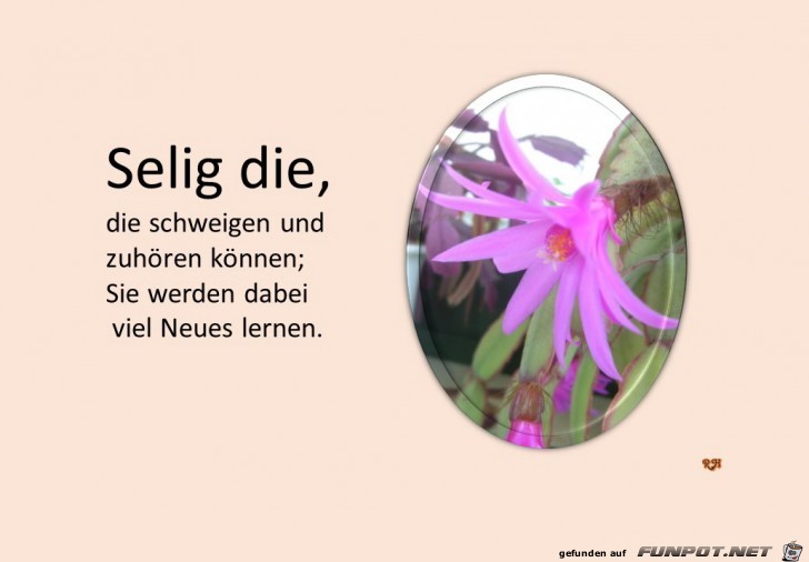 selig die die schweigen selig die die schweigen