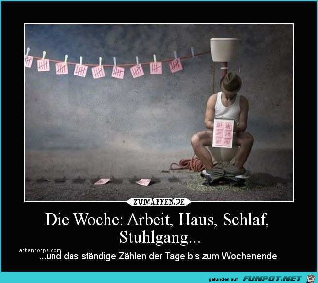 Die Woche Die Woche