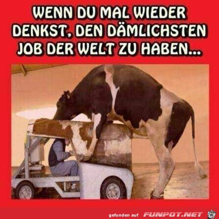Wenn Du... Wenn Du...