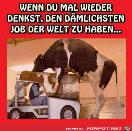 Wenn Du...