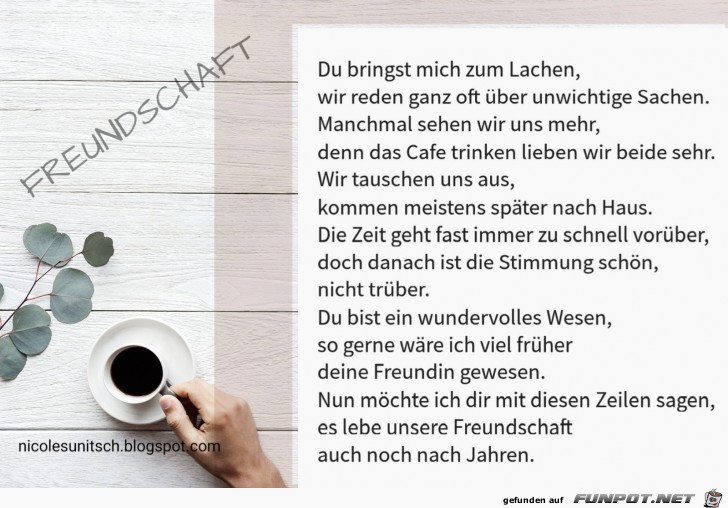 Freundschaft - Gedicht von Nicole Sunitsch