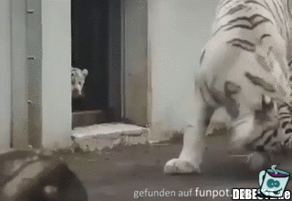 Erschrocken Erschrocken