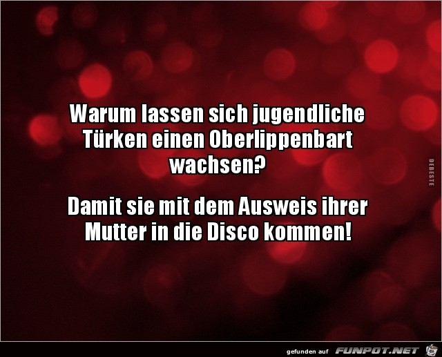 warum lassen sich jugendliche Türken einen...... warum lassen sich jugendliche Türken einen......
