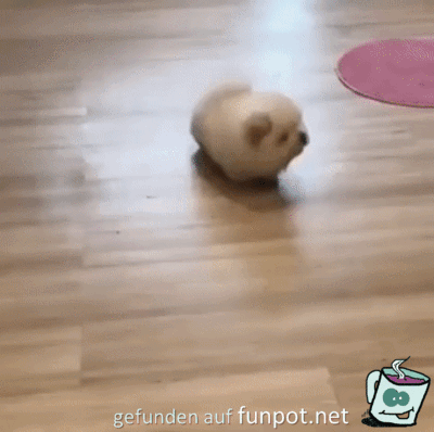 Plüschtier Plüschtier