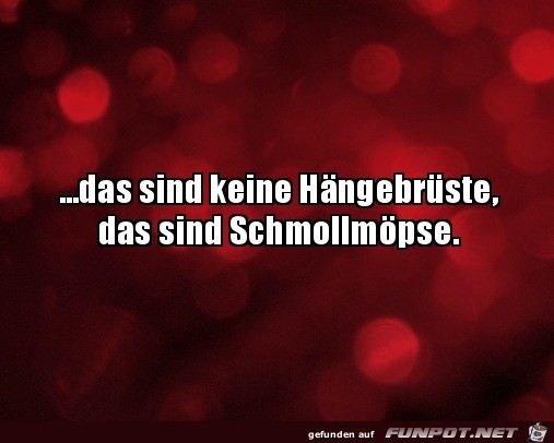 Nette Beschreibung Nette Beschreibung