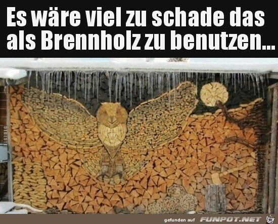 viel zu schade viel zu schade