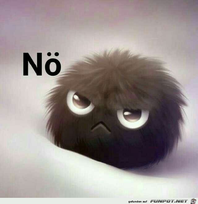 Nö Nö