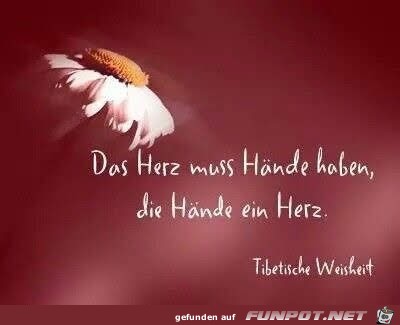 das Herz muss haende haben das Herz muss haende haben