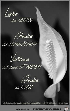 Liebe das Leben Liebe das Leben