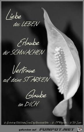 Liebe das Leben